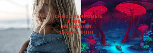 дживик Алзамай