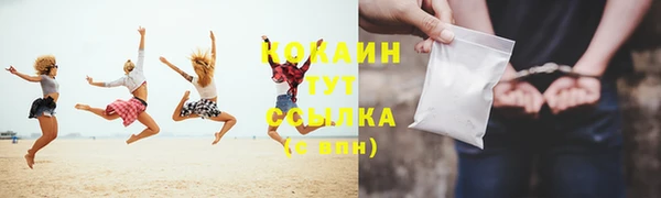 дживик Алзамай