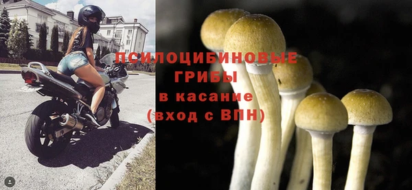 гидропоника Покров